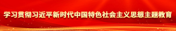 大jb嗯嗯艹视频学习贯彻习近平新时代中国特色社会主义思想主题教育